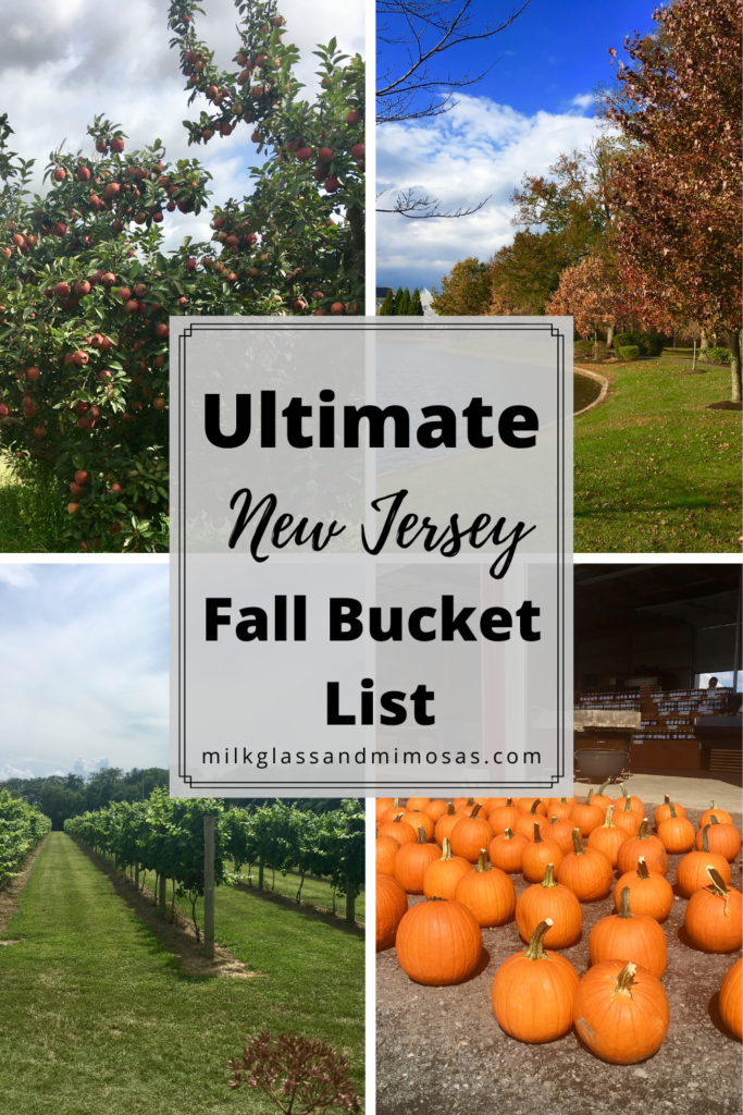 Fall activities in NJ