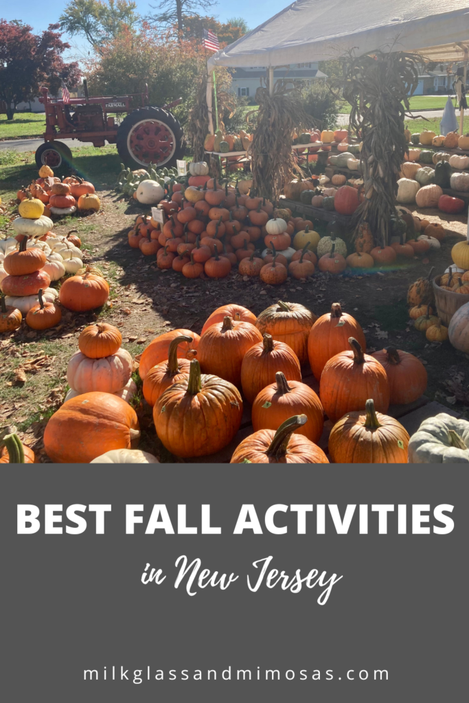 NJ Fall Bucket List pumpkin patch