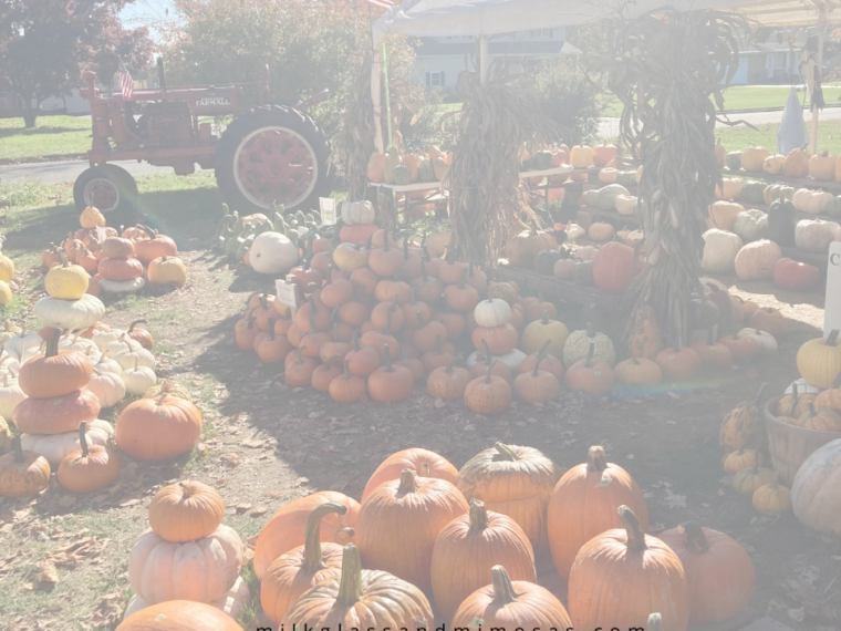 NJ Fall pumpkin patch